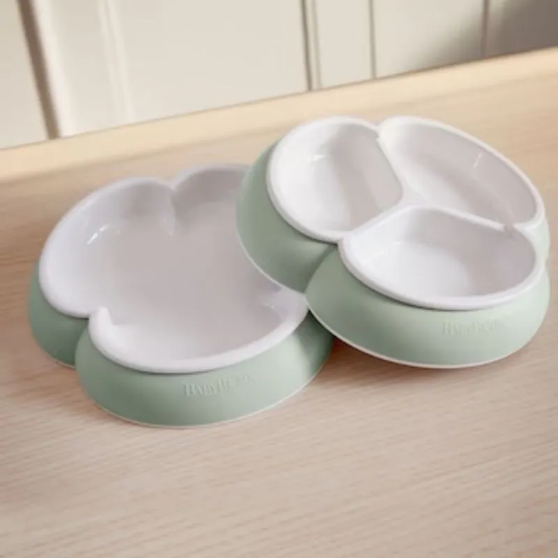 8 Piece Dinnerware Set