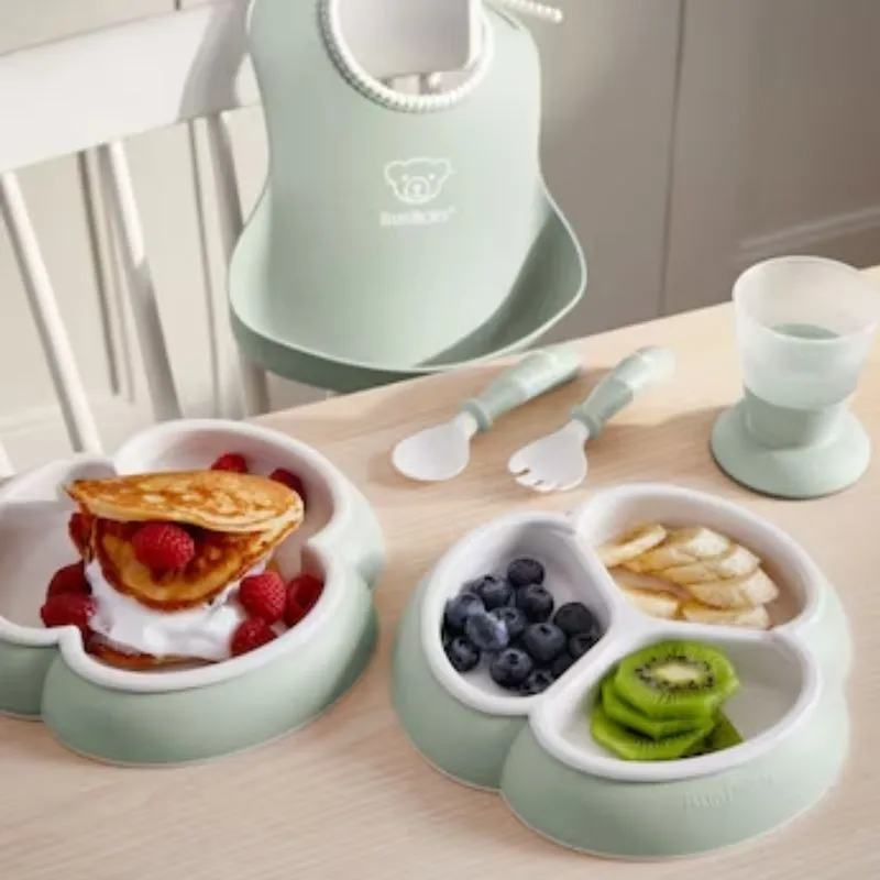 8 Piece Dinnerware Set