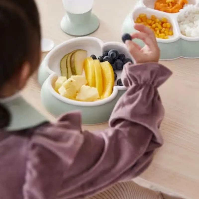 8 Piece Dinnerware Set
